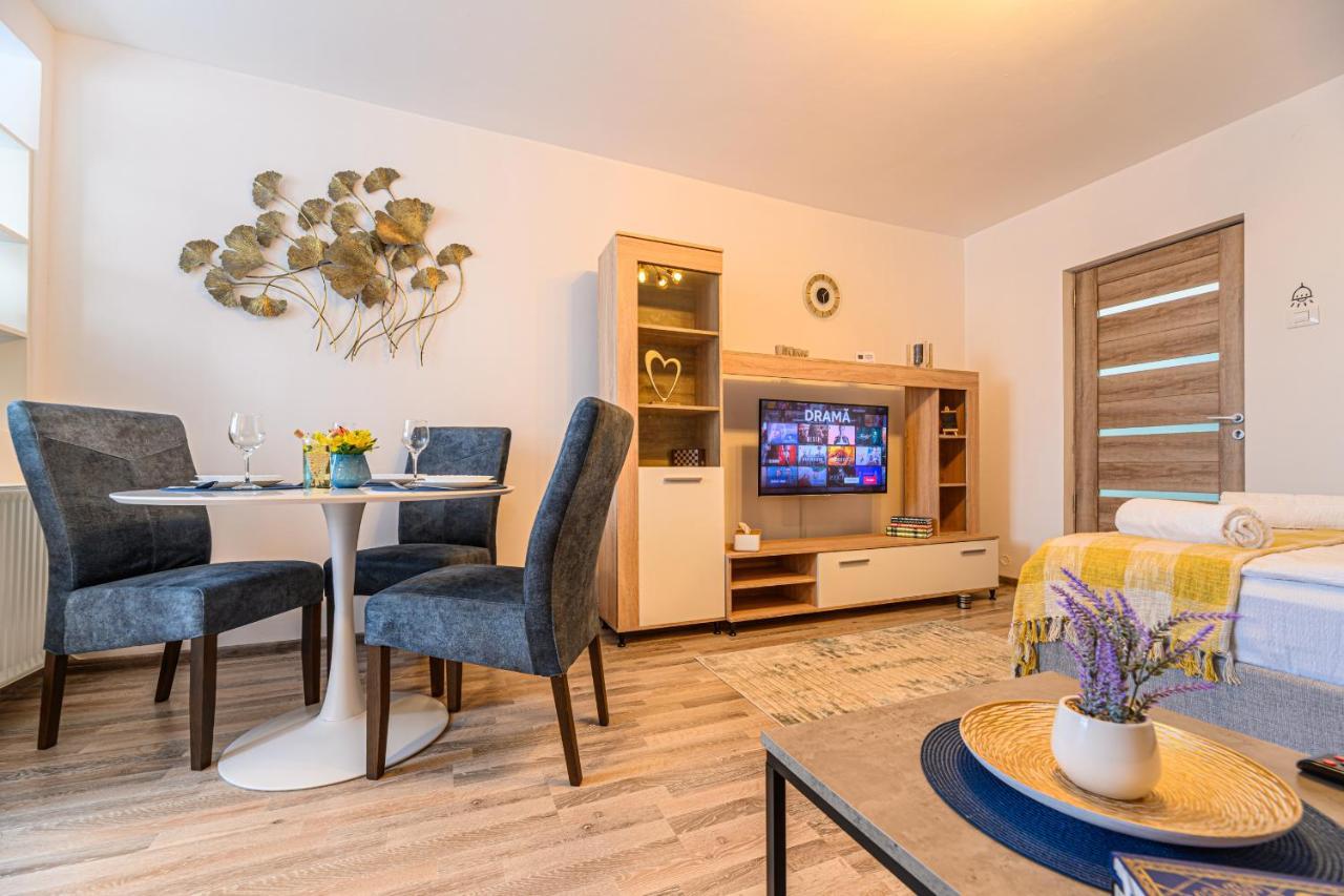 Luxury Studios - Soarelui 10 Braszów Zewnętrze zdjęcie